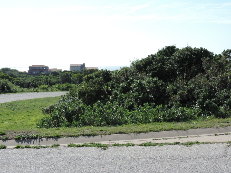 0 Bedroom Property for Sale in St Francis On Sea Eastern Cape